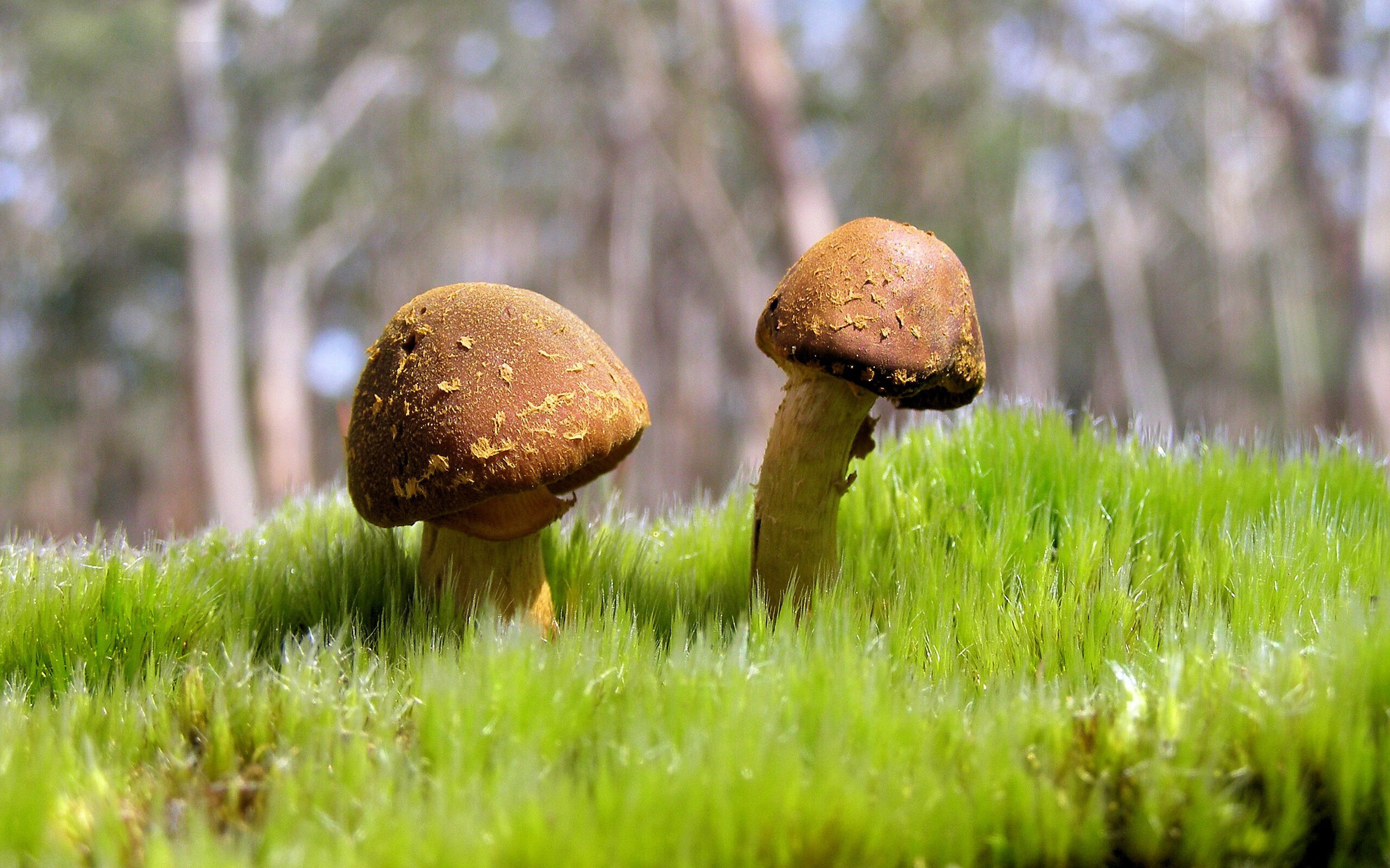 kaiyun中国官方网站-_湖人队团结奋战，力争季后赛门票_，2021赛季湖人队