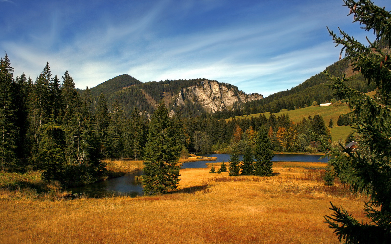 开云网页版-乡村特色越野跑，体验最原生态的运动魅力，农村越野车买什么车好